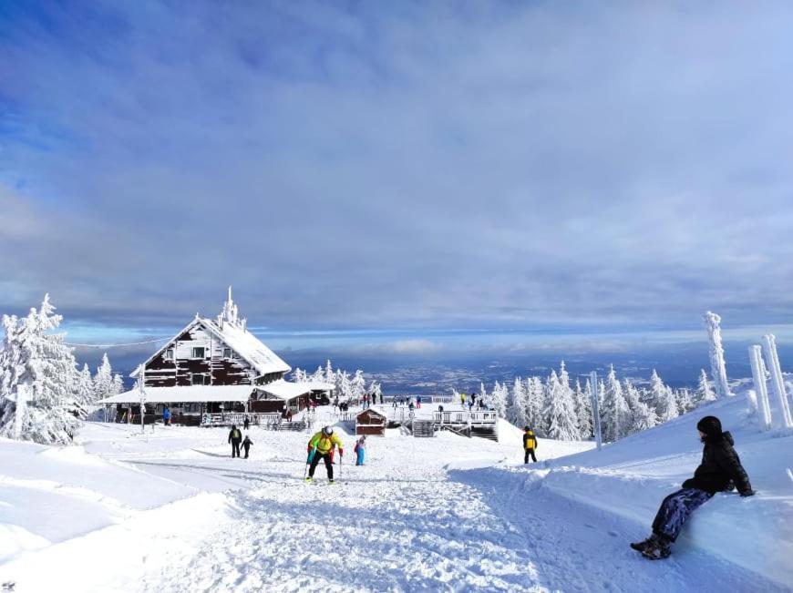 Osrodek Wypoczynkowy Zapalenica Bed & Breakfast Szczyrk Exterior foto
